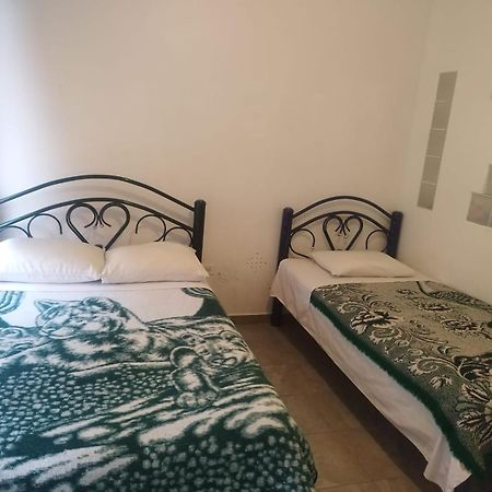 Hostal Maple Querétaro Extérieur photo