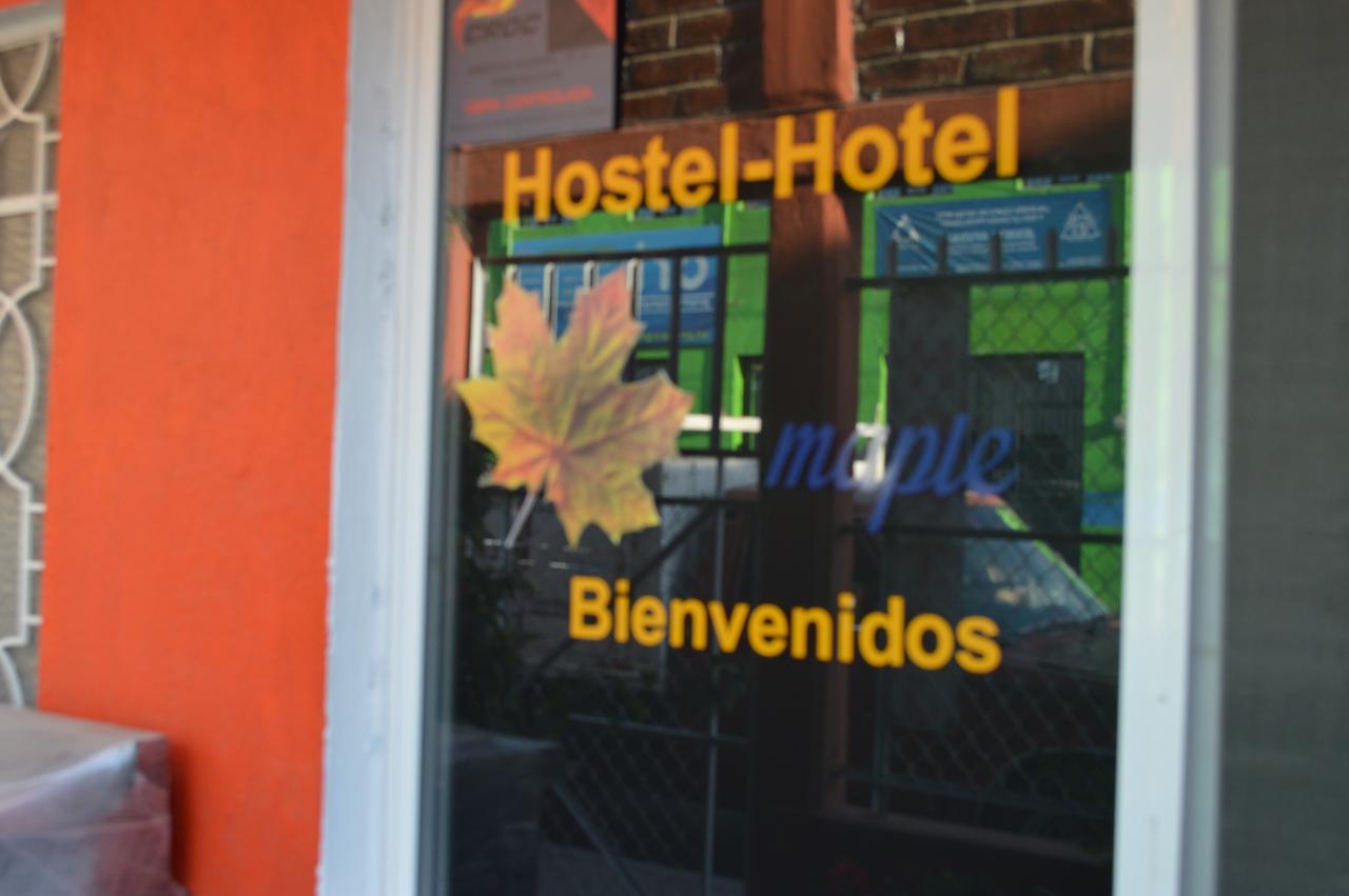 Hostal Maple Querétaro Extérieur photo