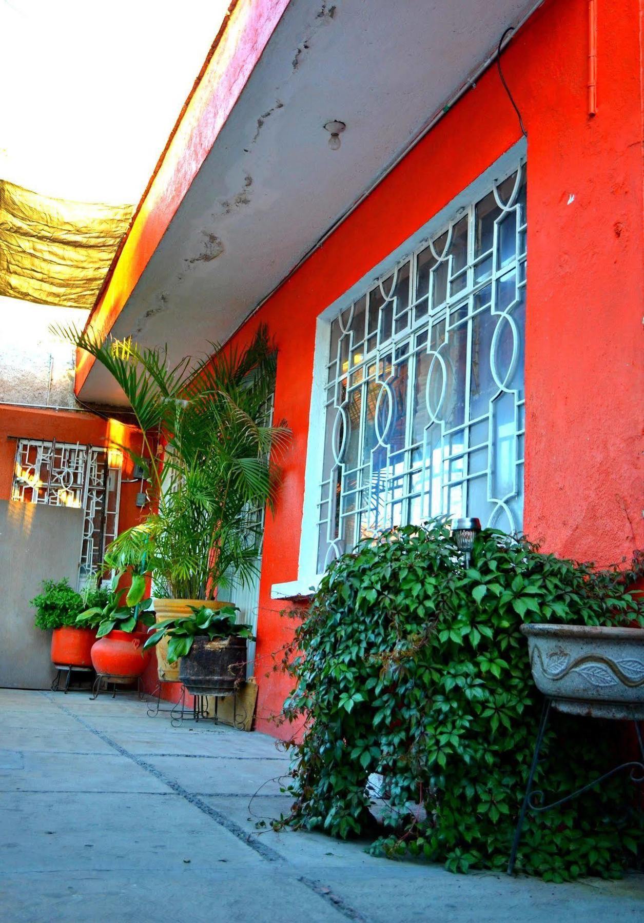 Hostal Maple Querétaro Extérieur photo