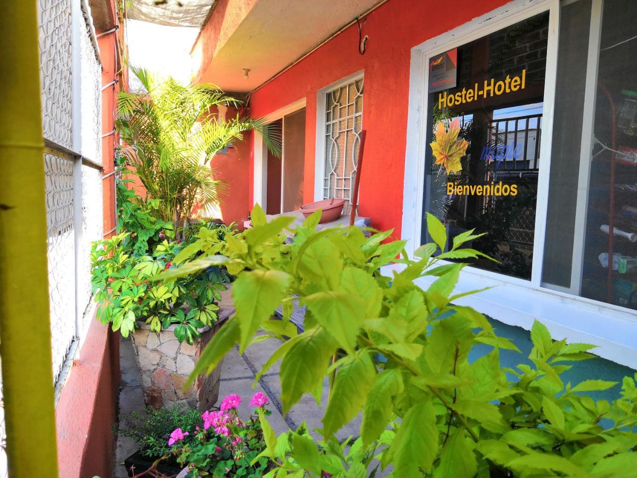 Hostal Maple Querétaro Extérieur photo