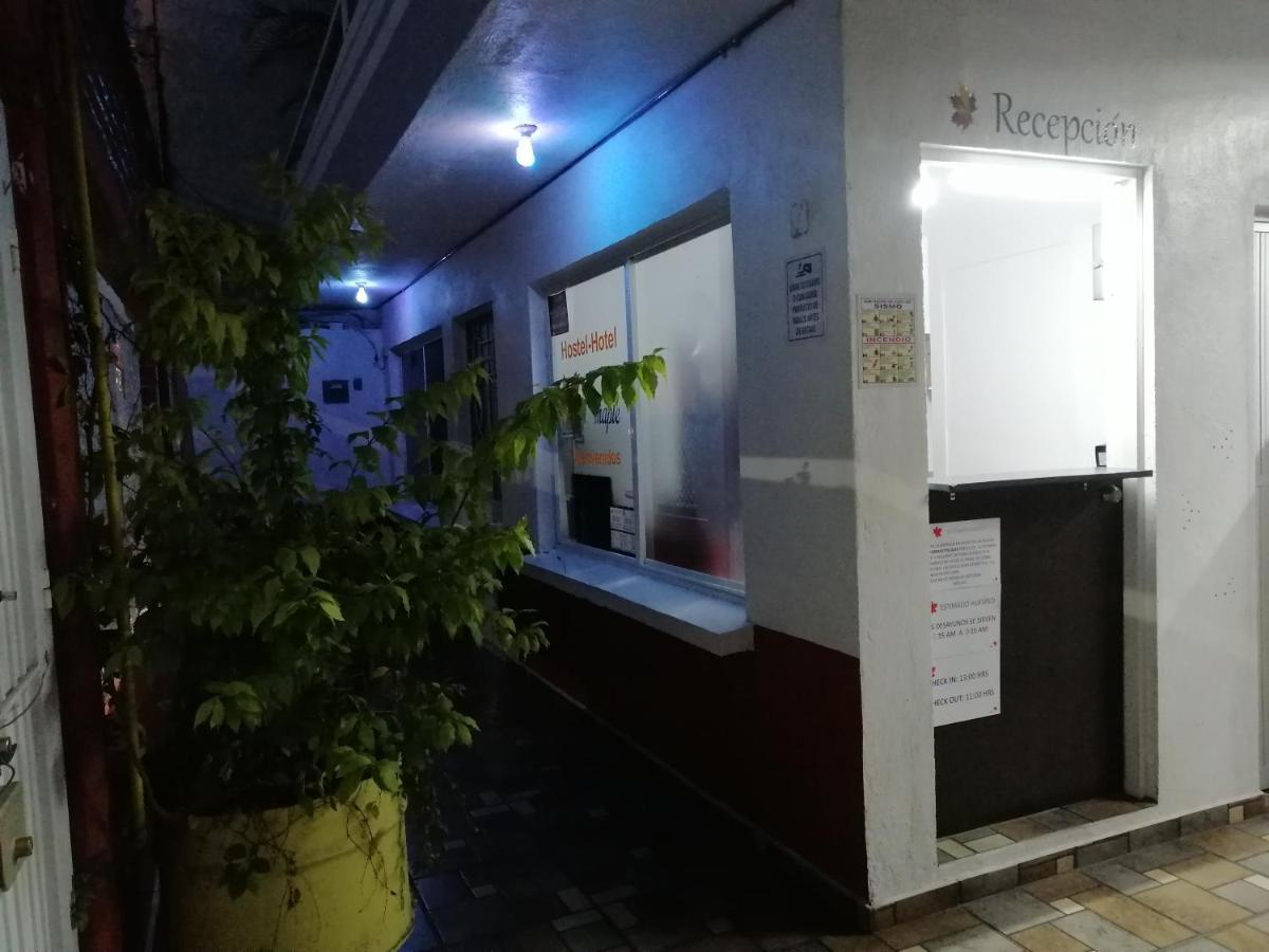 Hostal Maple Querétaro Extérieur photo